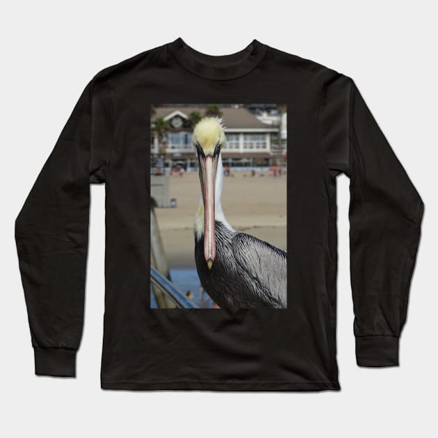 Pelican Eye to Eye Long Sleeve T-Shirt by AH64D